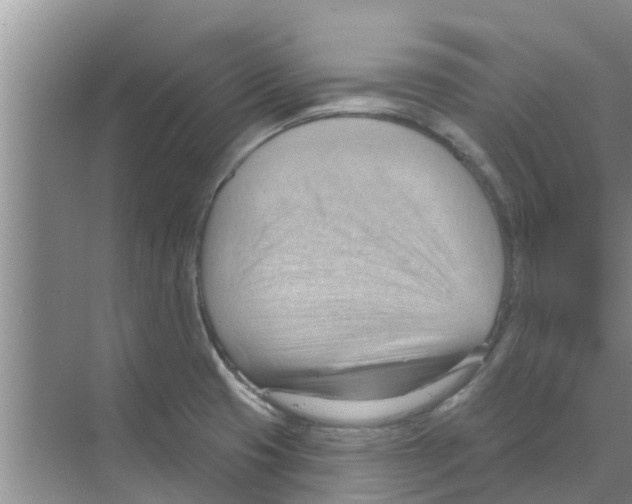 X0000070161425200606231843