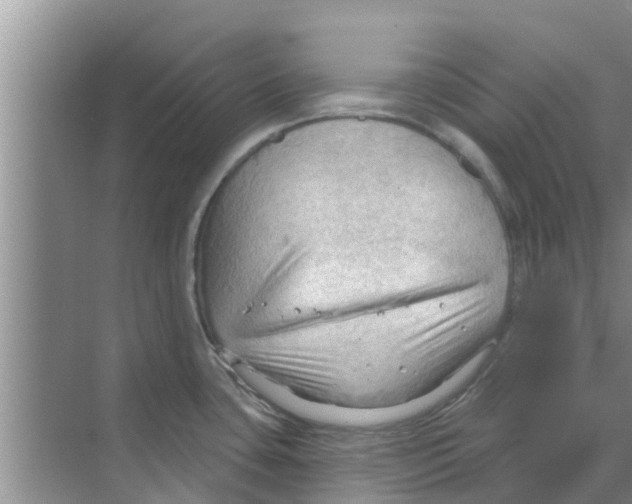 X0000070161435200606231843