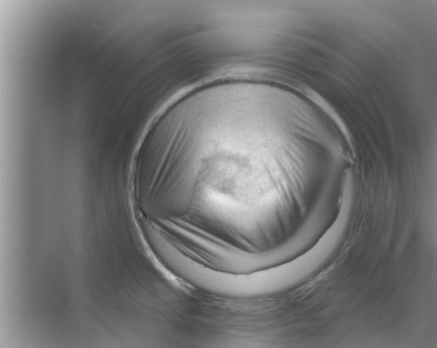 X0000070161437200606231843