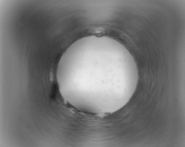 X0000070161442200606231843