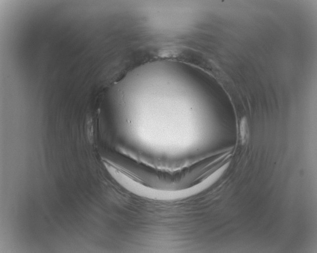 X0000070161443200606231843