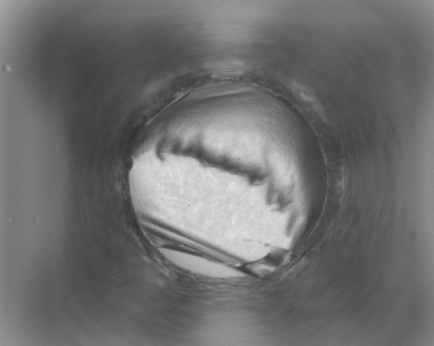 X0000070161445200606231842