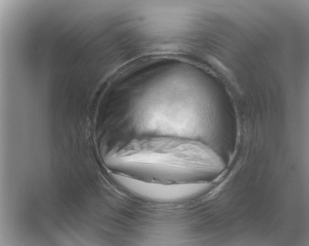 X0000070161449200606231842