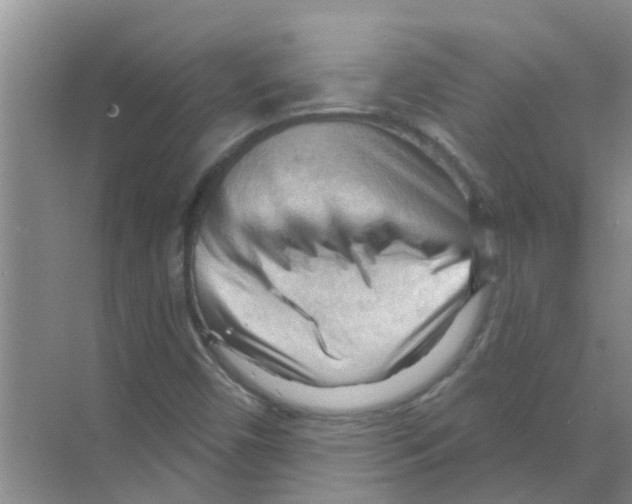 X0000070161450200606231842