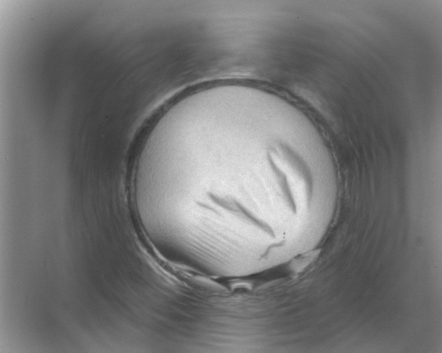 X0000070161452200606231842