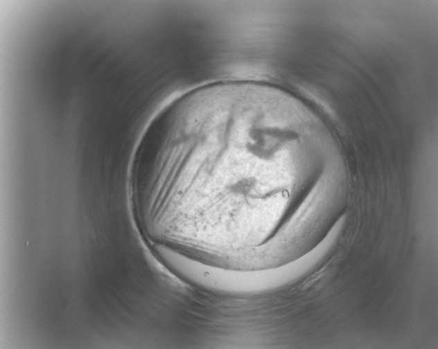 X0000070161471200606231842