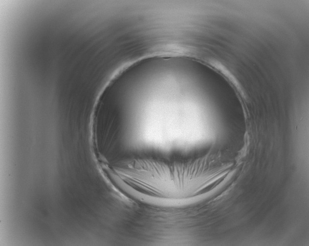 X0000070161477200606231842