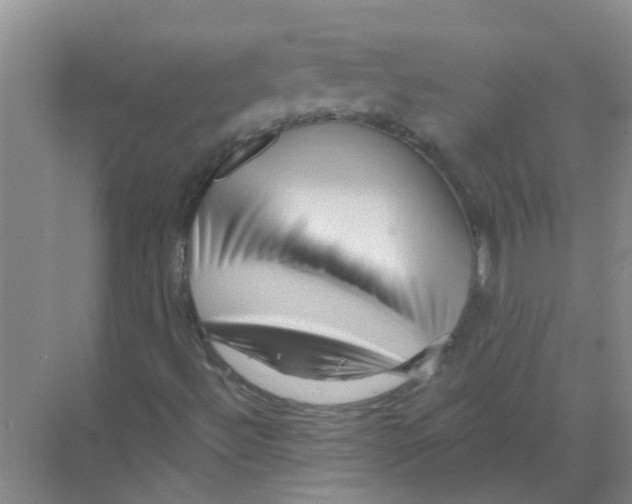 X0000070161492200606231841