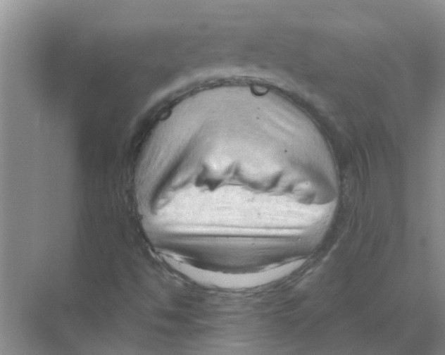 X0000070161494200606231841