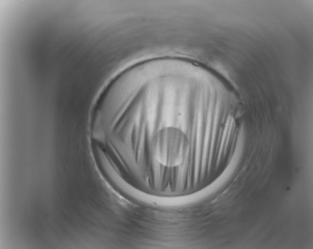 X0000070161508200606231841