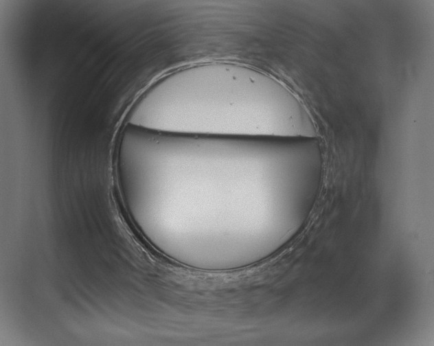 X0000070170002200605261016