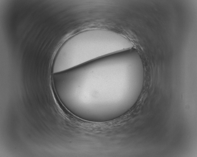 X0000070170003200605261016