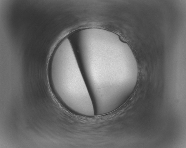 X0000070170006200605261016