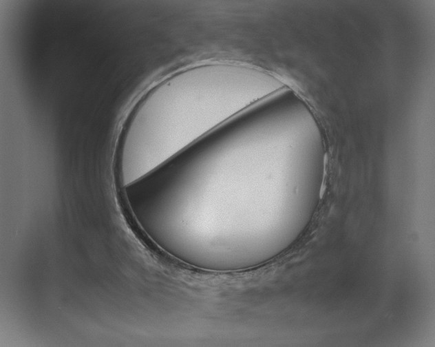 X0000070170007200605261016