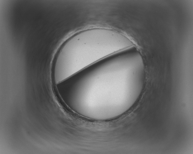 X0000070170008200605261016