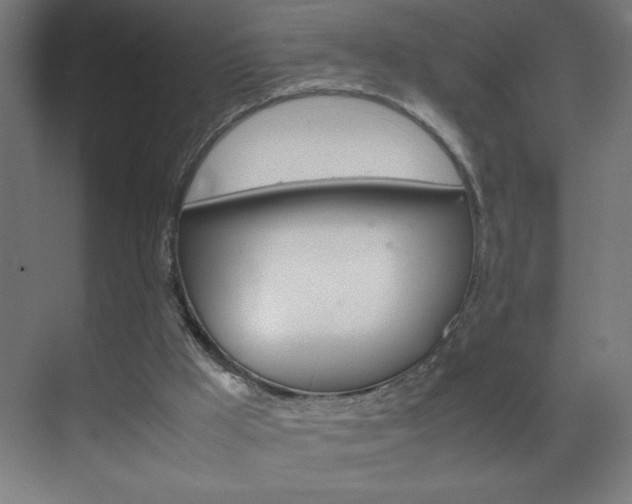 X0000070170009200605261016