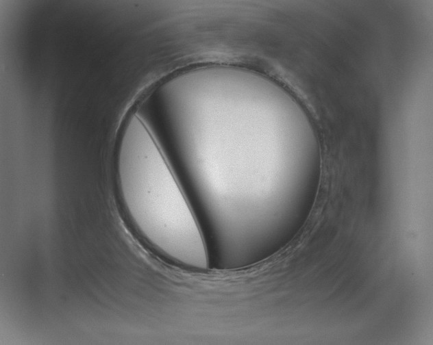X0000070170011200605261016