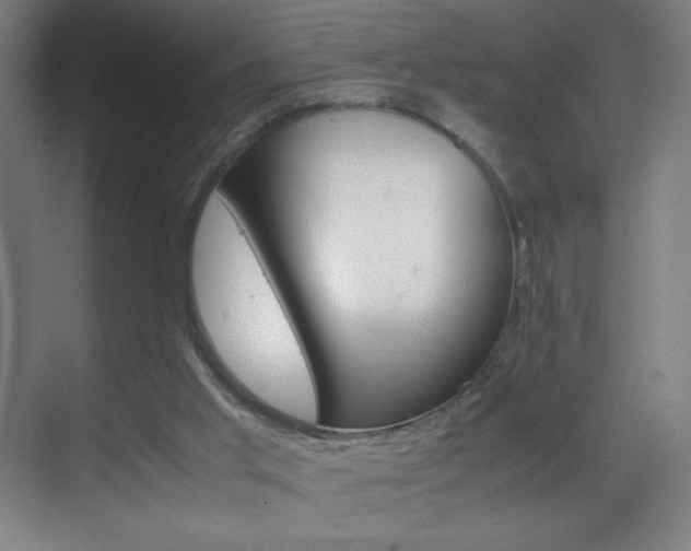 X0000070170013200605261016