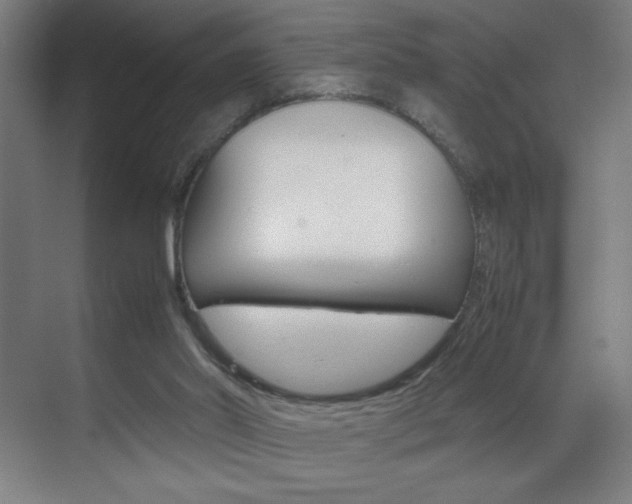 X0000070170014200605261016