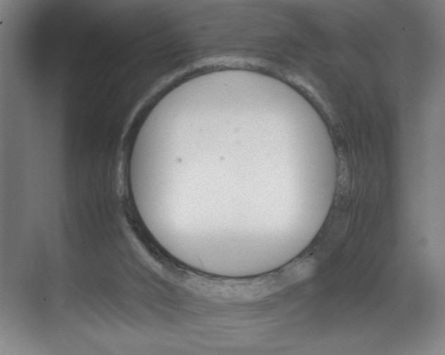 X0000070170016200605261016