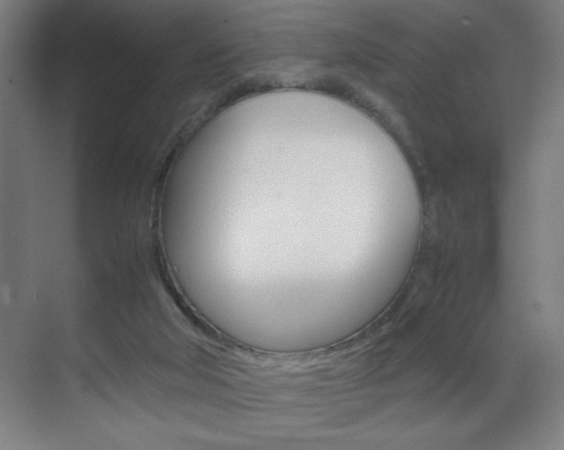 X0000070170018200605261016
