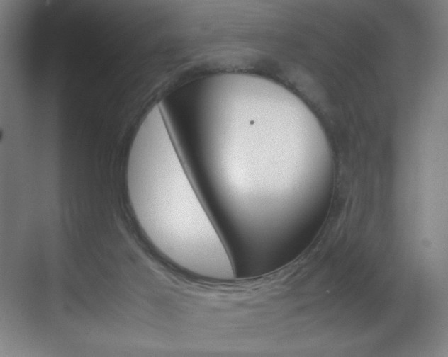 X0000070170021200605261016