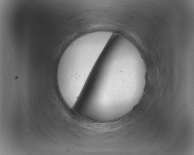 X0000070170023200605261016