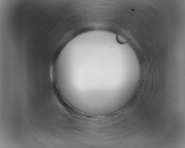 X0000070170024200605261016