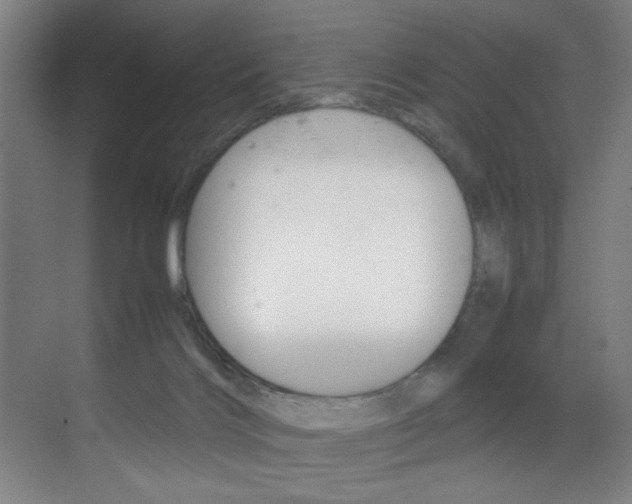 X0000070170028200605261016