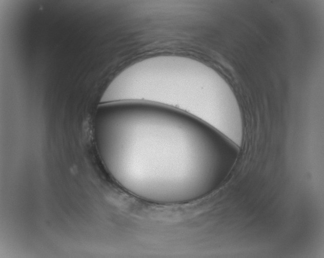 X0000070170029200605261016