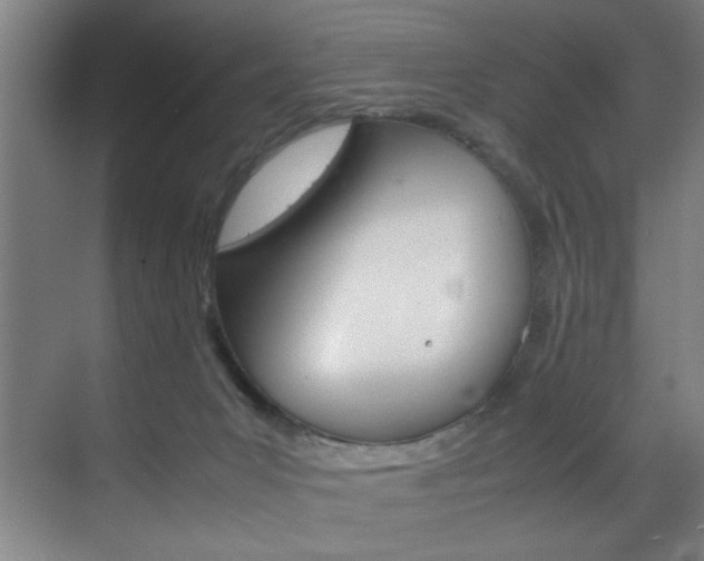 X0000070170031200605261016