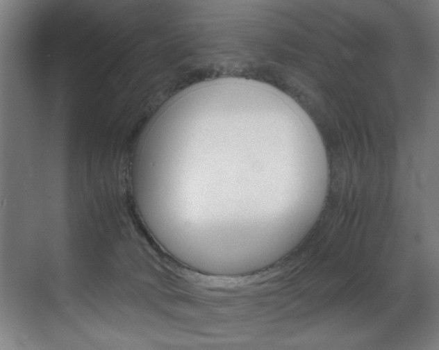 X0000070170034200605261016