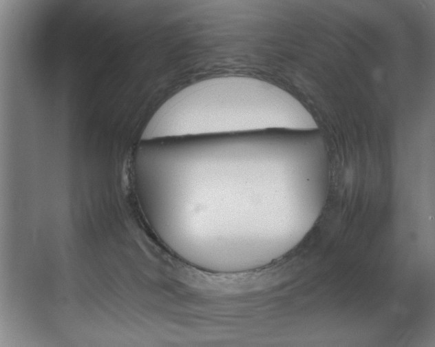 X0000070170038200605261016