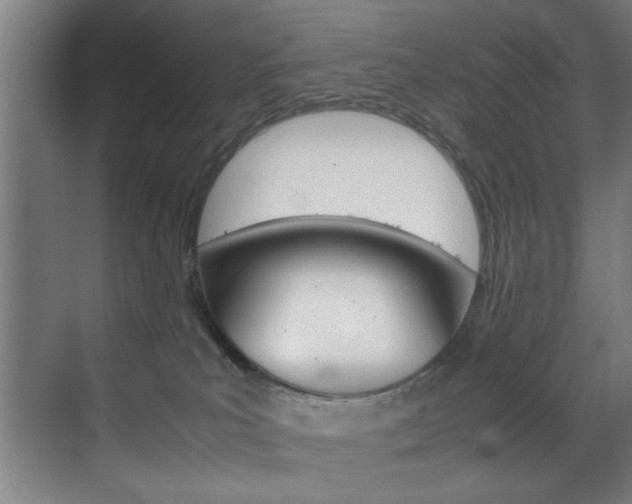 X0000070170039200605261016