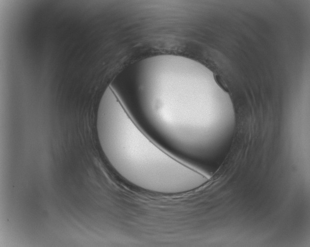 X0000070170040200605261016