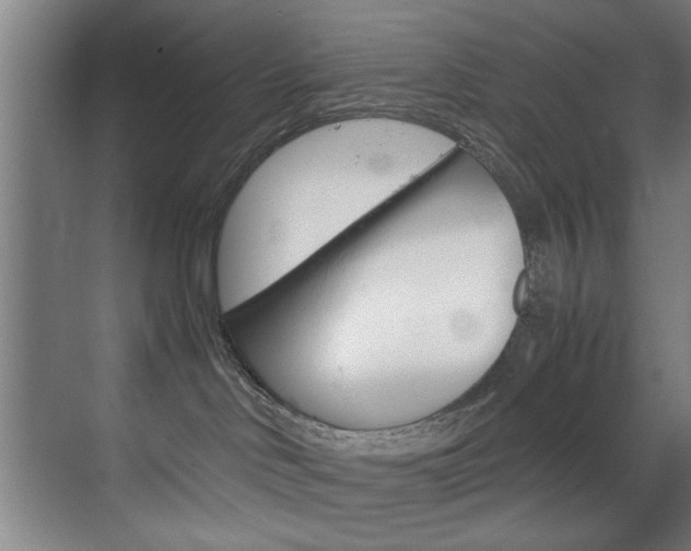 X0000070170046200605261016