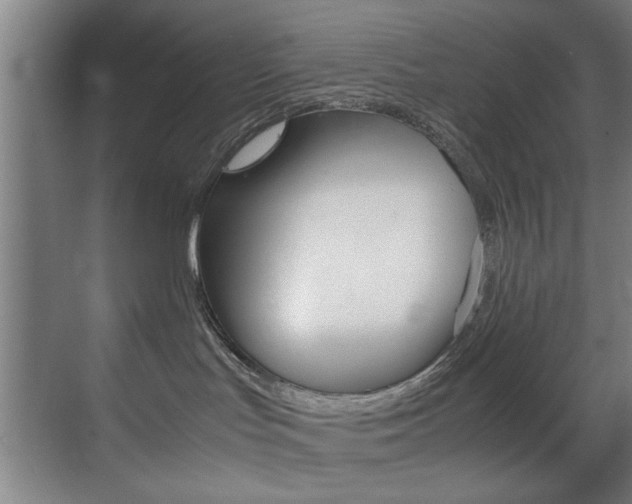 X0000070170047200605261016