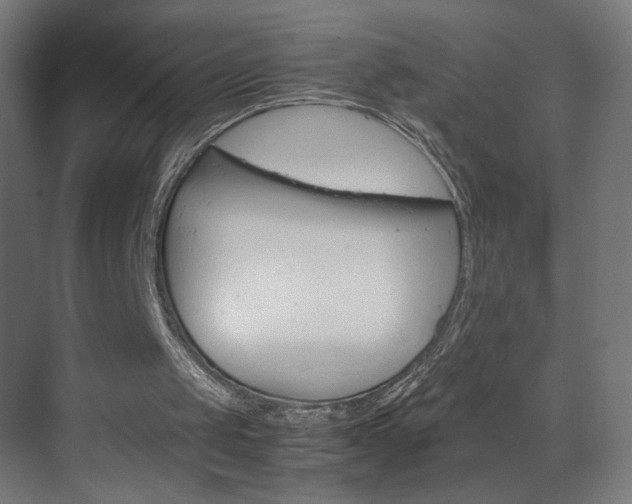 X0000070170049200605261015