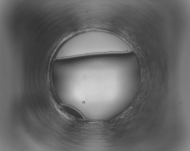X0000070170050200605261015