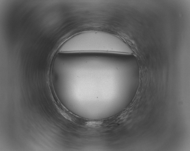 X0000070170051200605261015