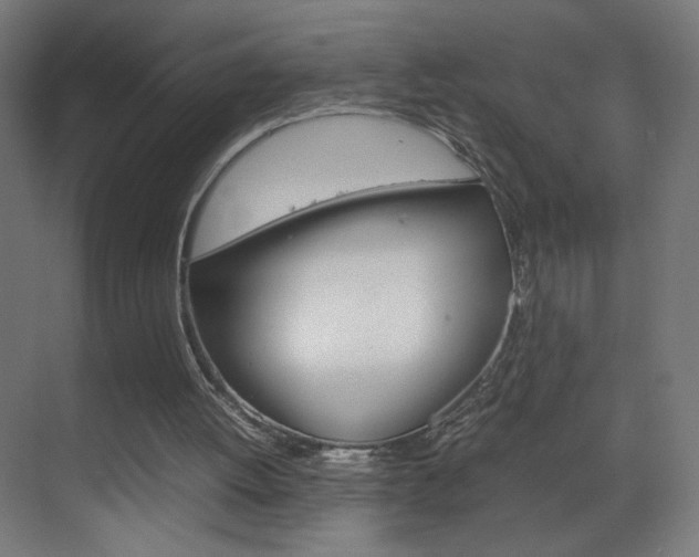 X0000070170052200605261015