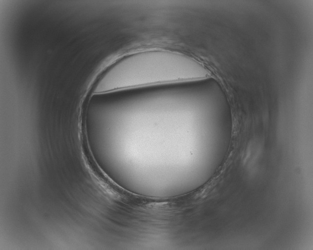 X0000070170054200605261015