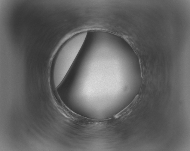 X0000070170056200605261015