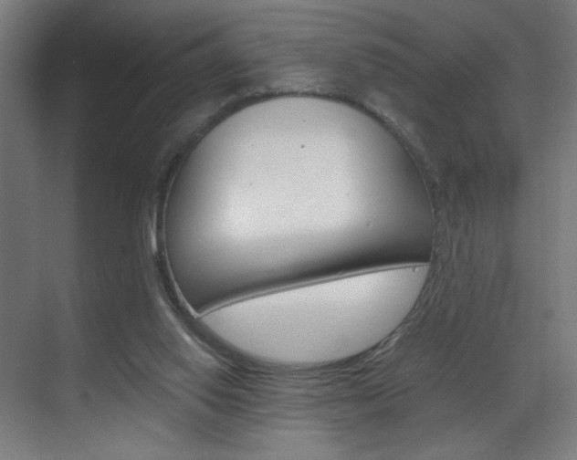 X0000070170062200605261015