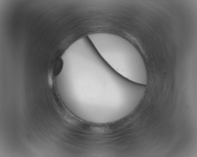 X0000070170069200605261015