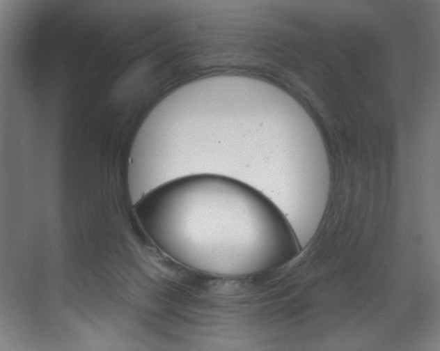 X0000070170074200605261015