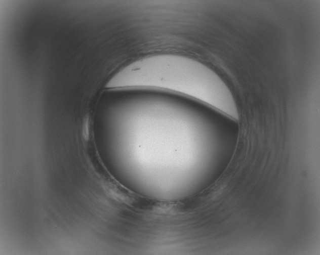 X0000070170076200605261015