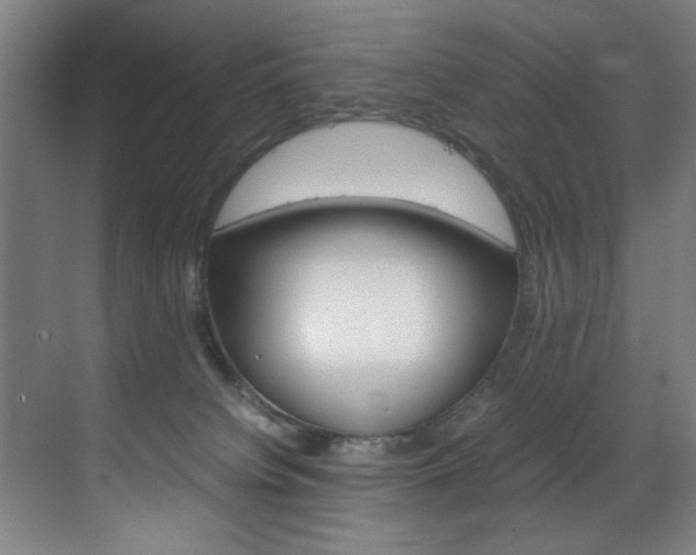 X0000070170084200605261015