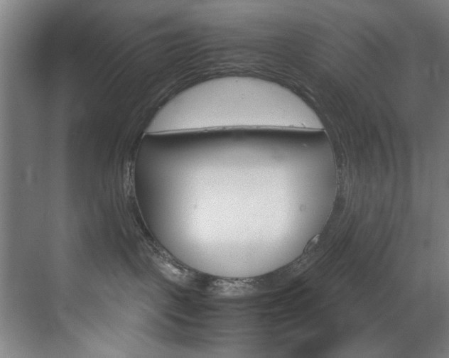 X0000070170093200605261016