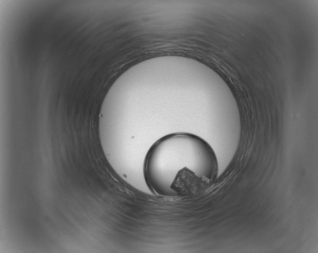 X0000070170096200605261016